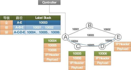 新型网络技术对网络信息体系的影响研究