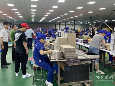 E路心向党 百年赞辉煌 网络大V探访大冶，工业之旅见证技术腾飞